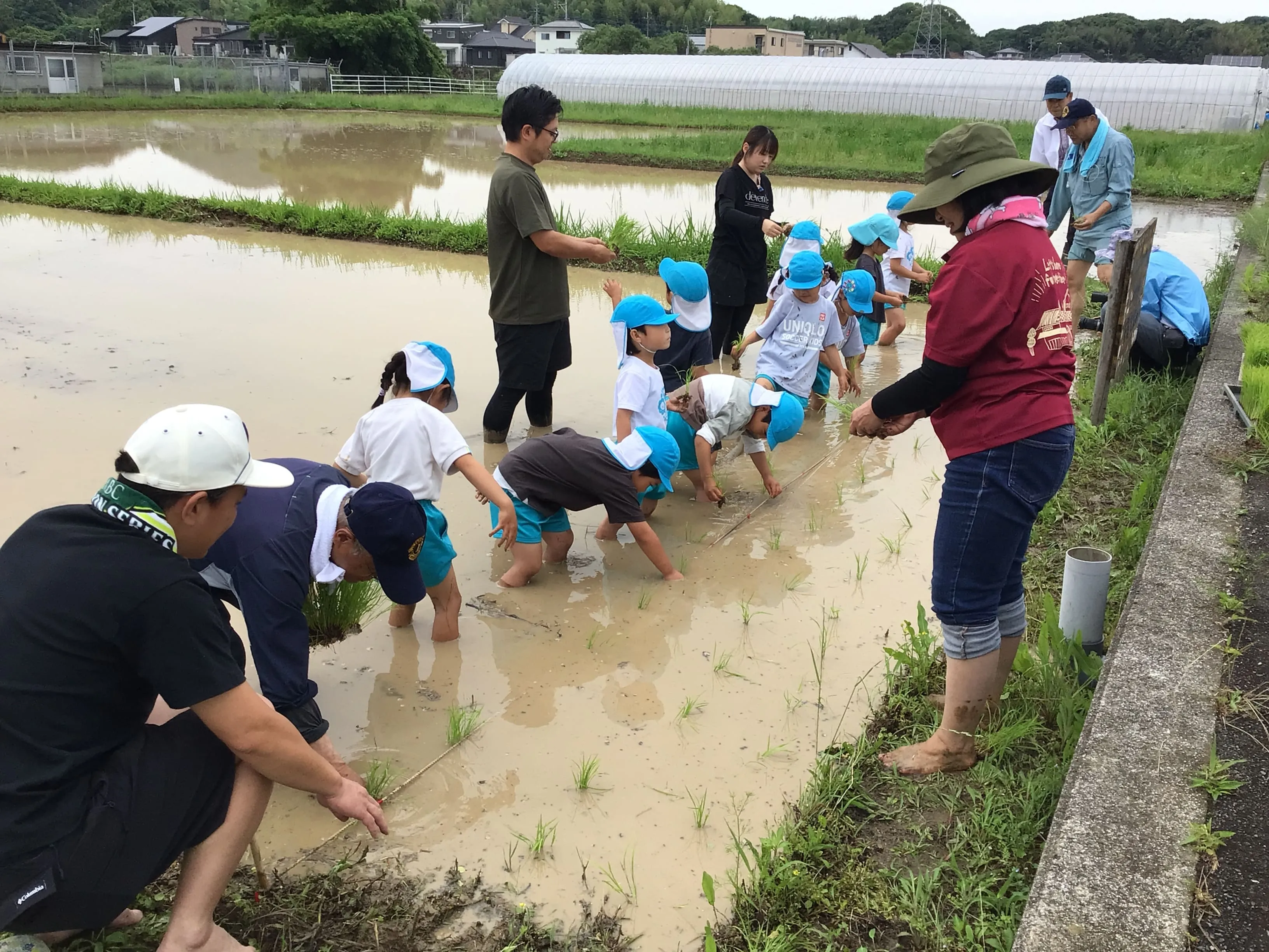 地域交流活動の様子