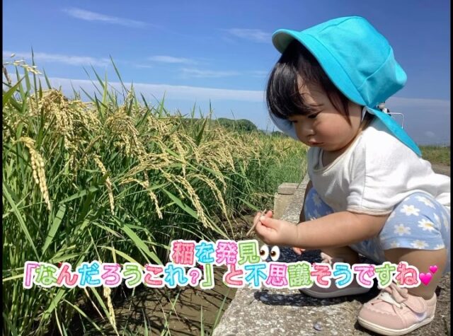 今日はもも組さんお散歩に行きました💕その様子です👀🩵
#山野こども園 #嘉麻市 #幼保連携型こども園