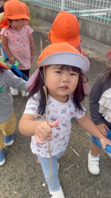 うめ組さん💕お散歩に行ってきました✨
お散歩の様子です🍀

#山野こども園 #嘉麻市 #幼保連携型こども園